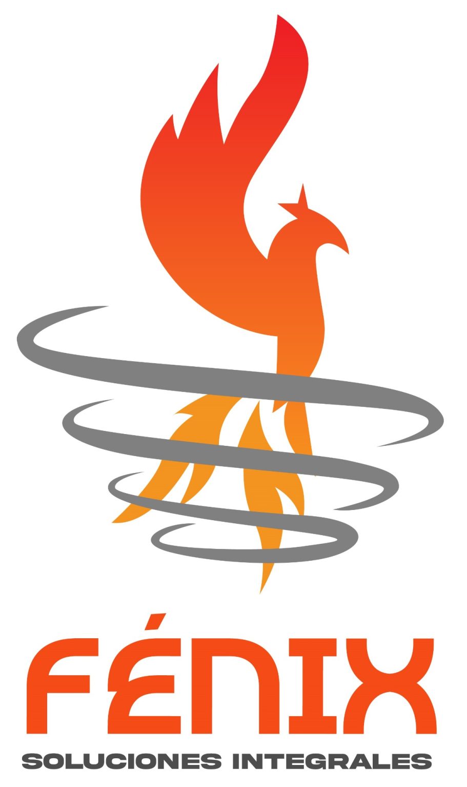 SOLUCIONES INTEGRALES FÉNIX